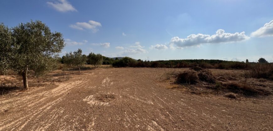 FINCA A 15 MIN VINAROS