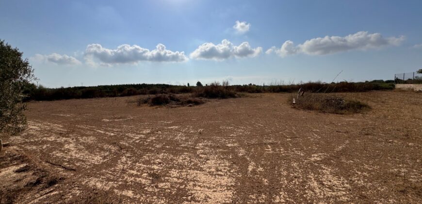 FINCA A 15 MIN VINAROS