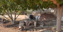 FINCA A 15 MIN VINAROS
