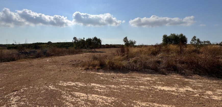 FINCA A 15 MIN VINAROS