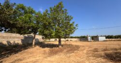 FINCA A 15 MIN VINAROS