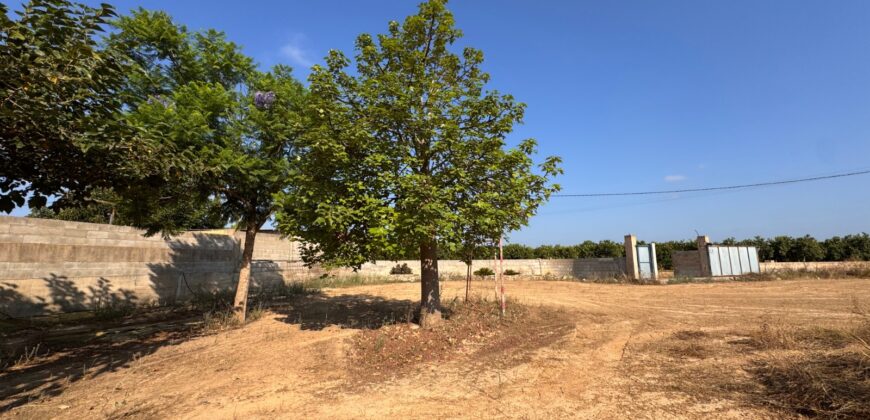 FINCA A 15 MIN VINAROS