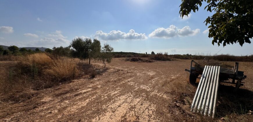 FINCA A 15 MIN VINAROS