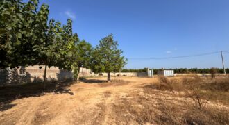 FINCA A 15 MIN VINAROS