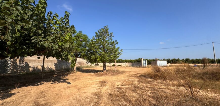 FINCA A 15 MIN VINAROS
