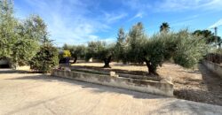 CHALET INDEPENDIENTE EN BENICARLO