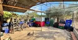 CHALET INDEPENDIENTE EN BENICARLO