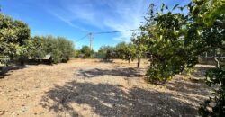 CHALET INDEPENDIENTE EN BENICARLO