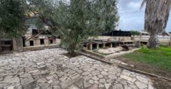 CHALET INDEPENDIENTE