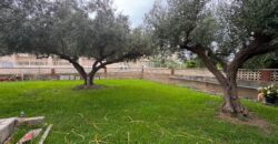 CHALET INDEPENDIENTE
